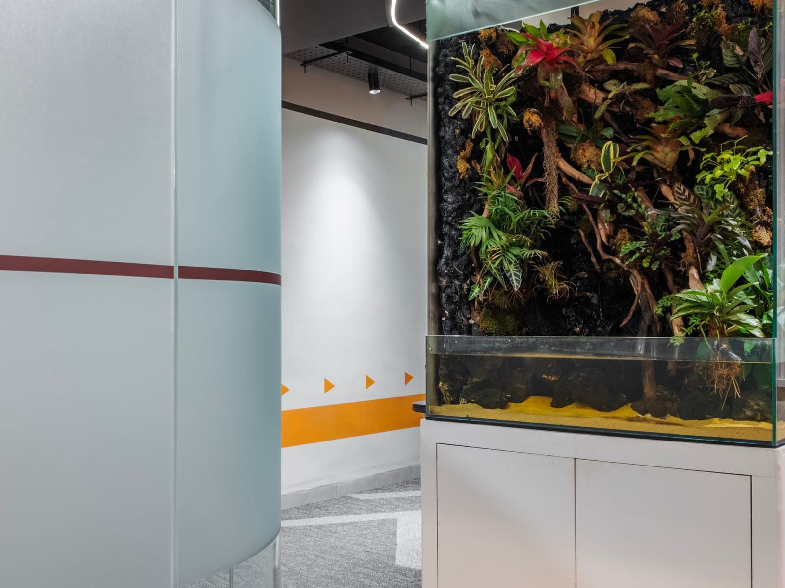 Living paludarium plant tank beside the curved glass meeting pod at Fliqzo Coimbatore
